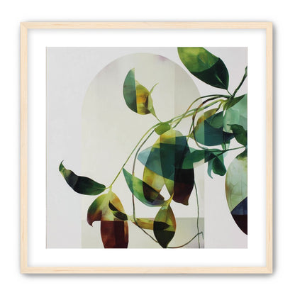 Leaves in a pale halo