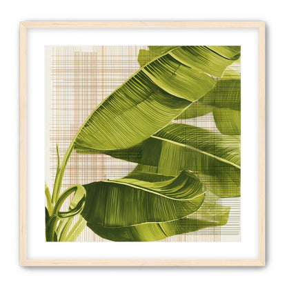 Banana leaves against the grid