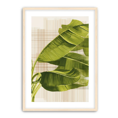 Banana leaves against the grid