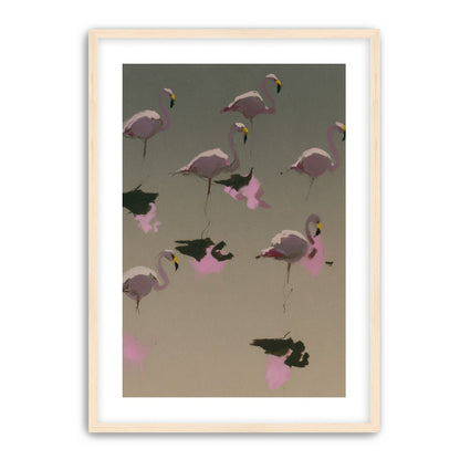 Flamingos in still water