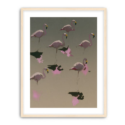 Flamingos in still water