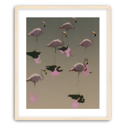 Flamingos in still water