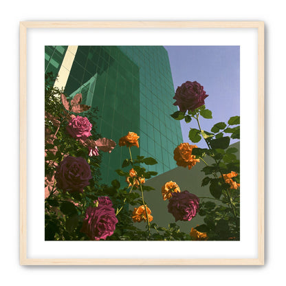 Roses climbing the glass wall