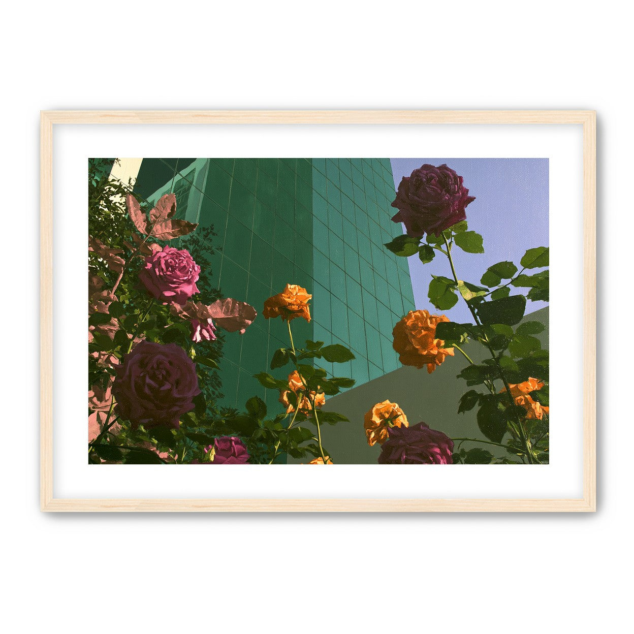 Roses climbing the glass wall