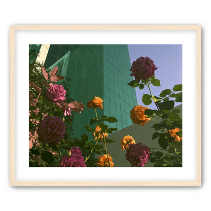 Roses climbing the glass wall