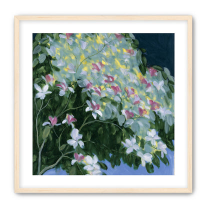 Blossoms across the night sky