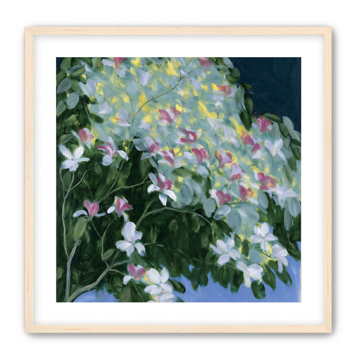 Blossoms across the night sky