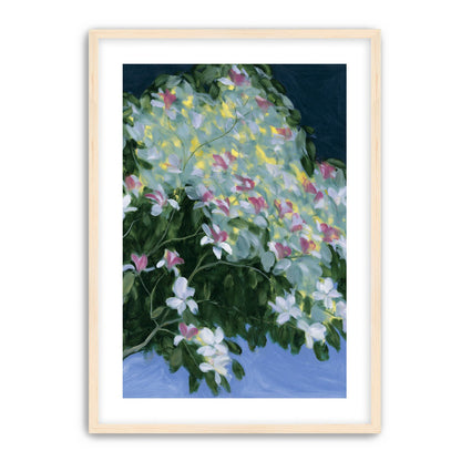 Blossoms across the night sky