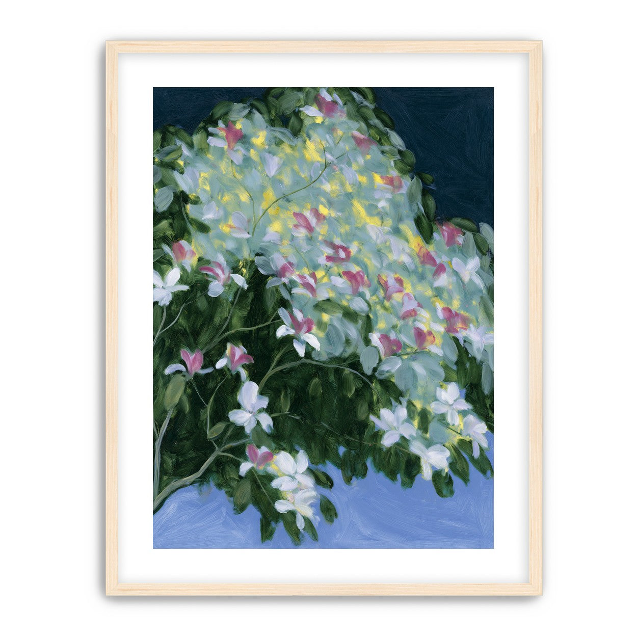 Blossoms across the night sky