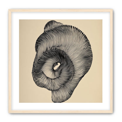 A hollow within black lines