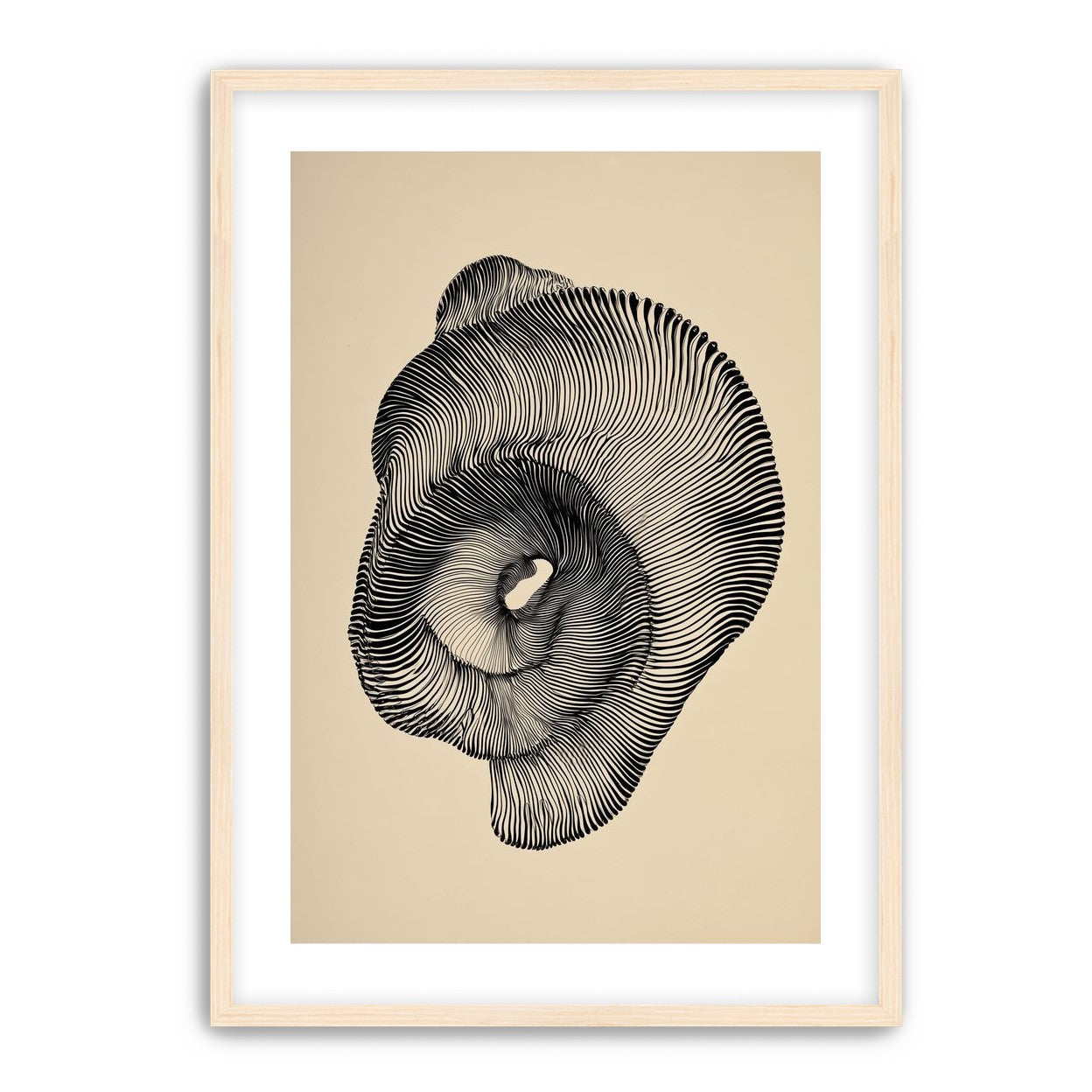 A hollow within black lines