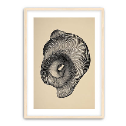 A hollow within black lines