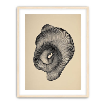 A hollow within black lines