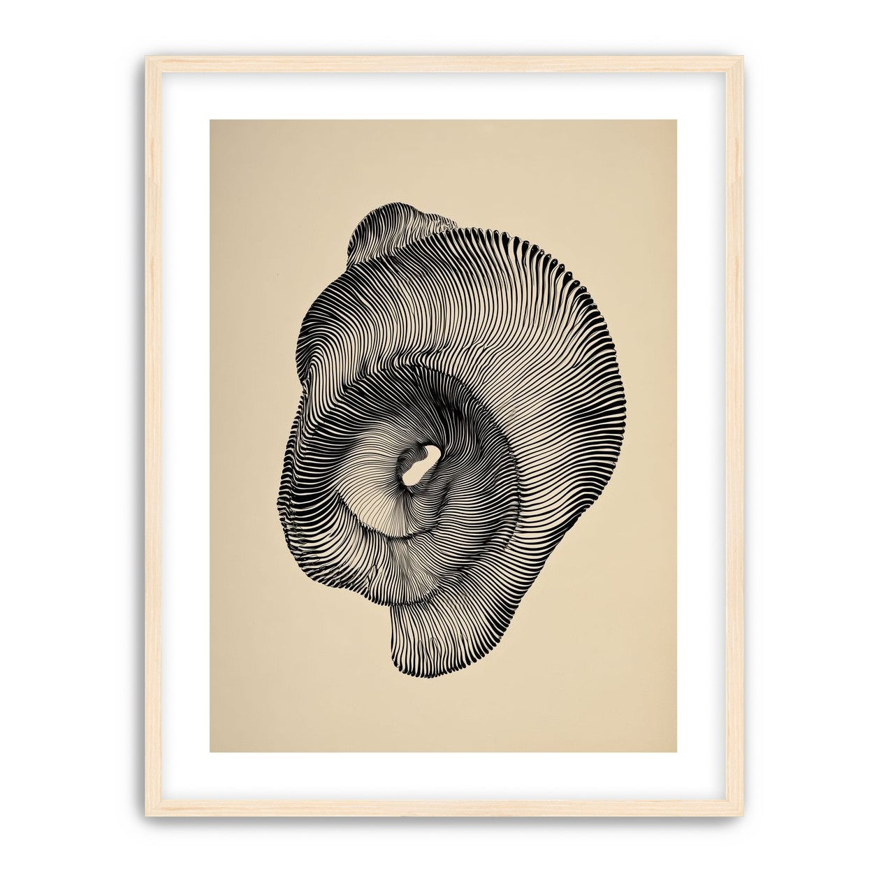 A hollow within black lines
