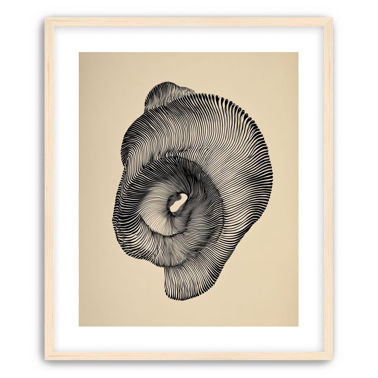 A hollow within black lines