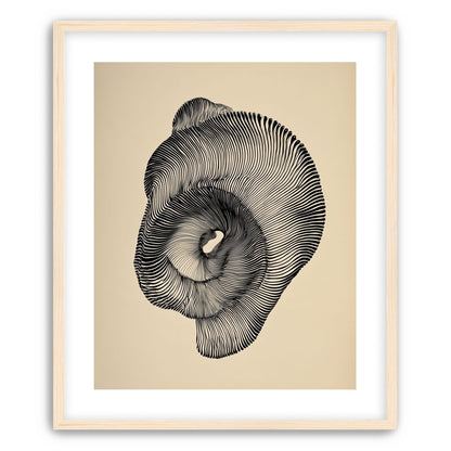 A hollow within black lines
