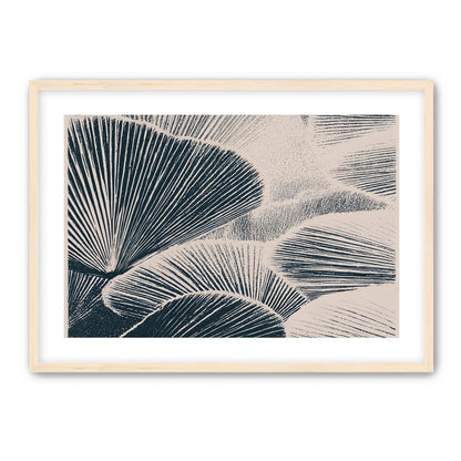 Ink shadows on palm fronds