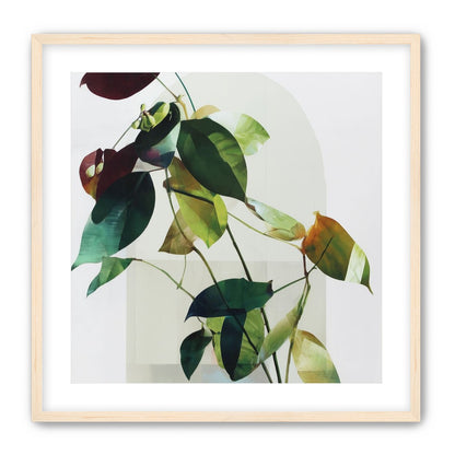 Leaves across a pale arch