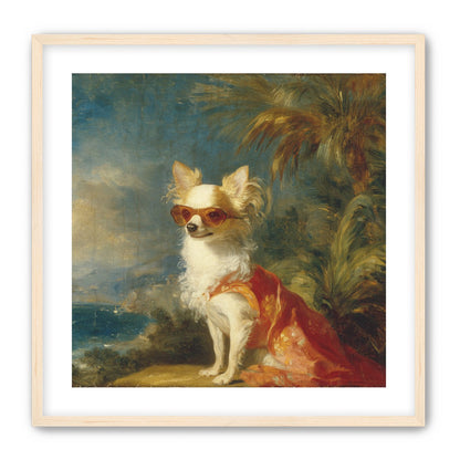 Sunglasses on the seaside dog