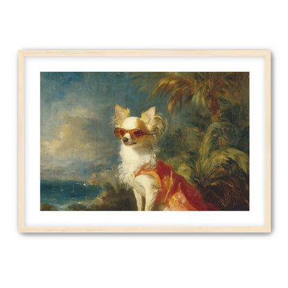 Sunglasses on the seaside dog