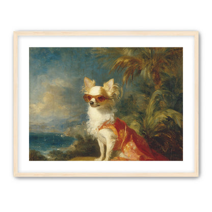 Sunglasses on the seaside dog