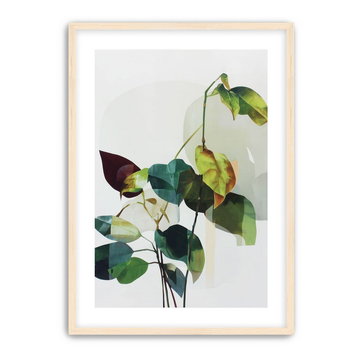 Leaves within pale shadows