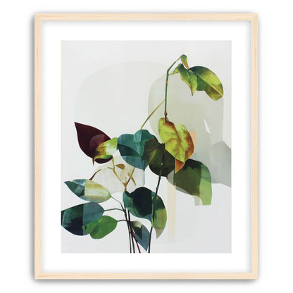 Leaves within pale shadows