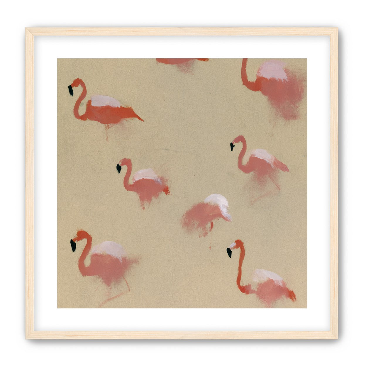 Flamingos in quiet drift