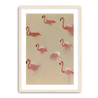 Flamingos in quiet drift