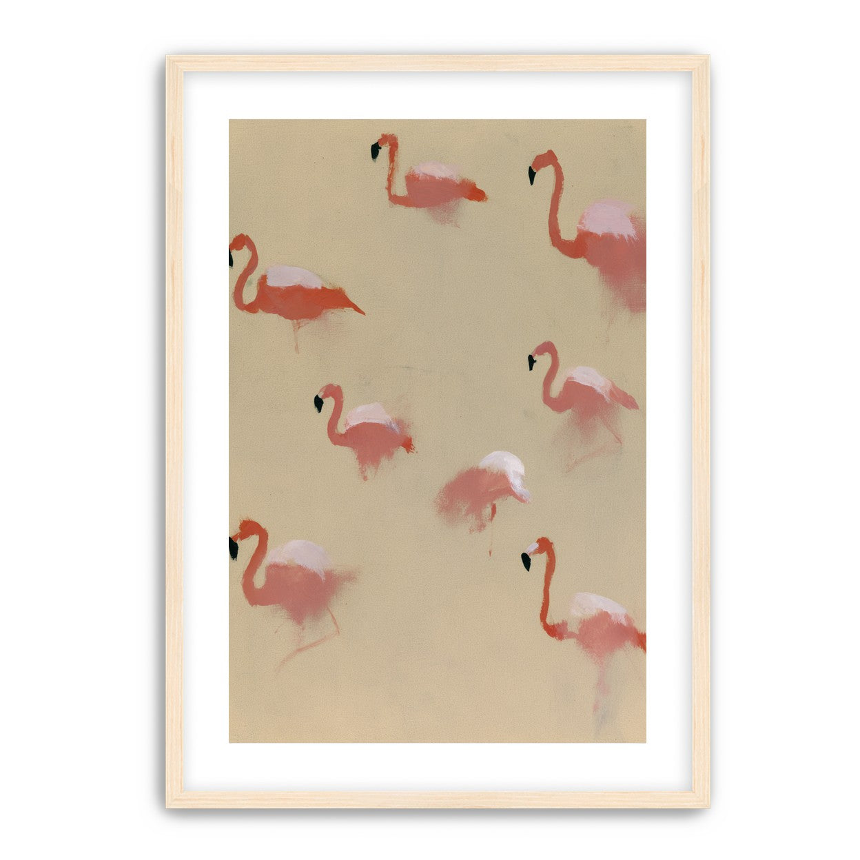 Flamingos in quiet drift