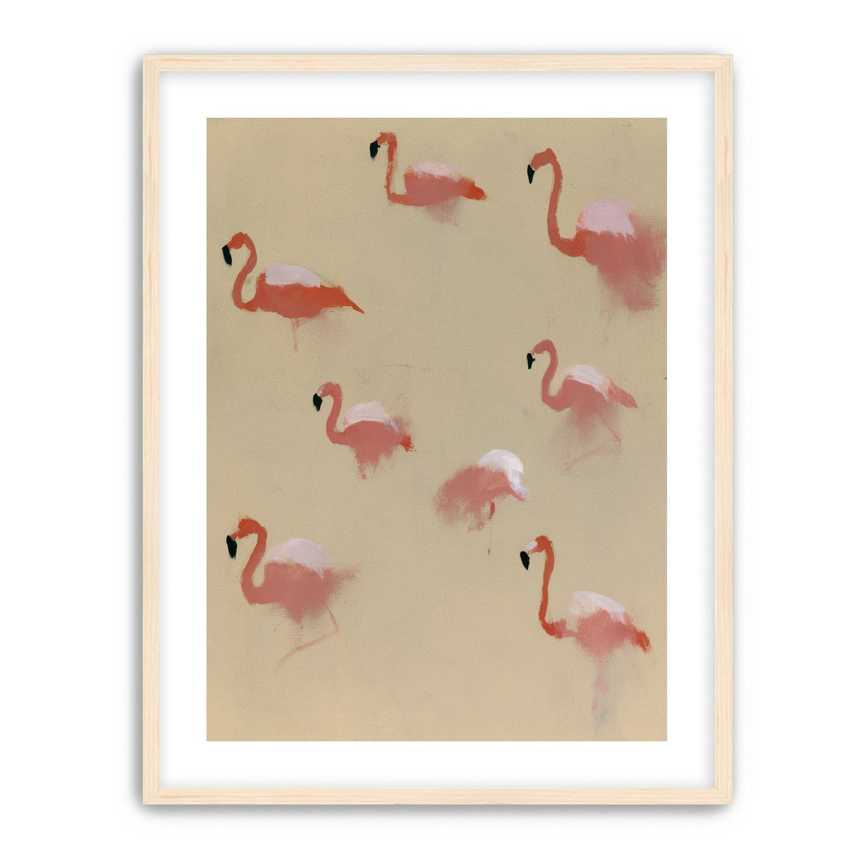 Flamingos in quiet drift