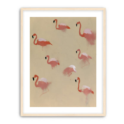 Flamingos in quiet drift