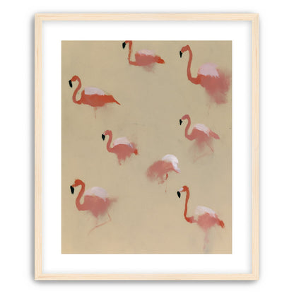 Flamingos in quiet drift