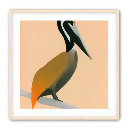 Pelican in peach light