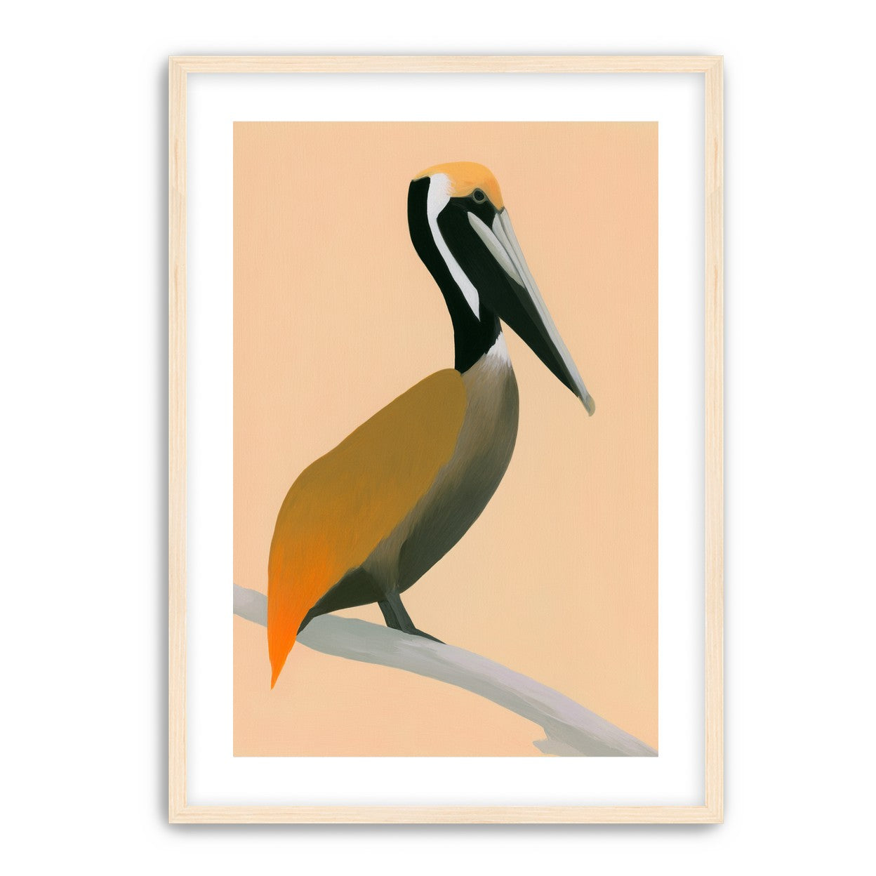 Pelican in peach light