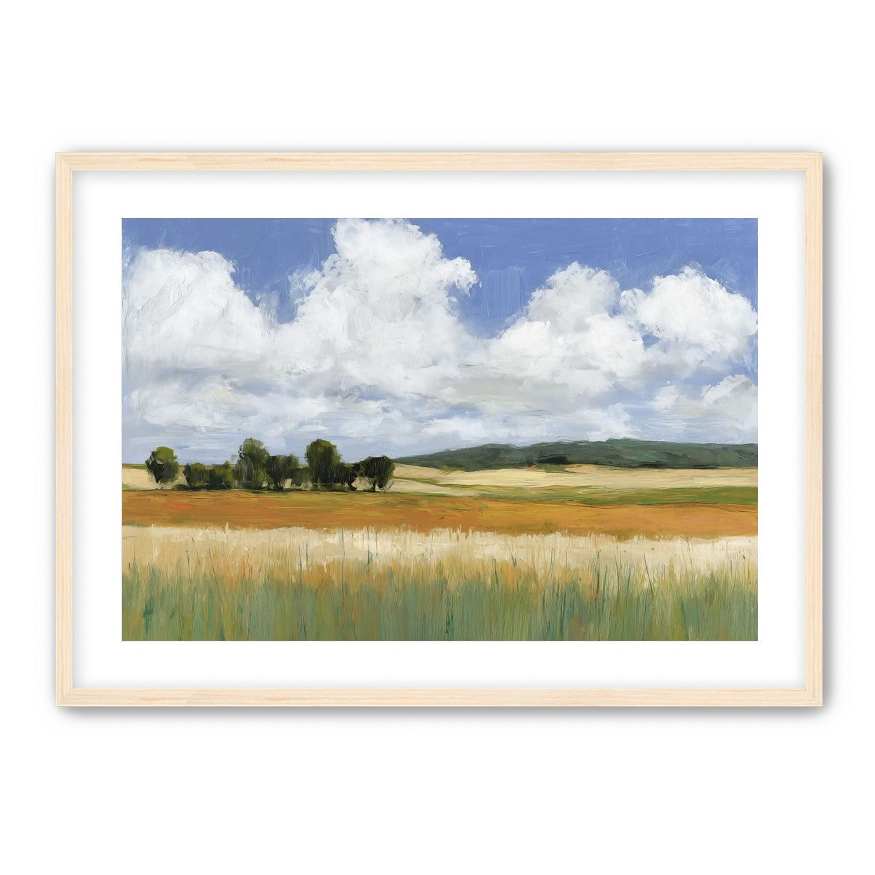 Meadow Under Clouds