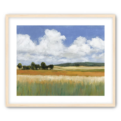 Meadow Under Clouds