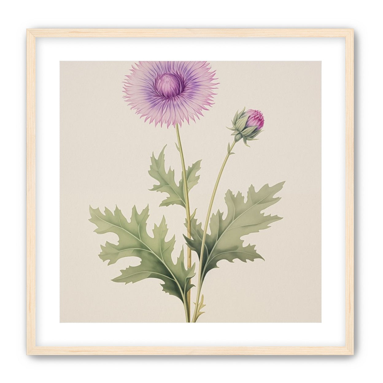 Lavender Radiance