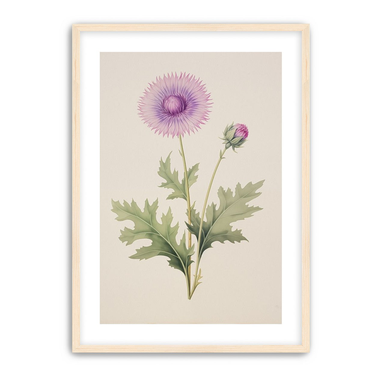 Lavender Radiance