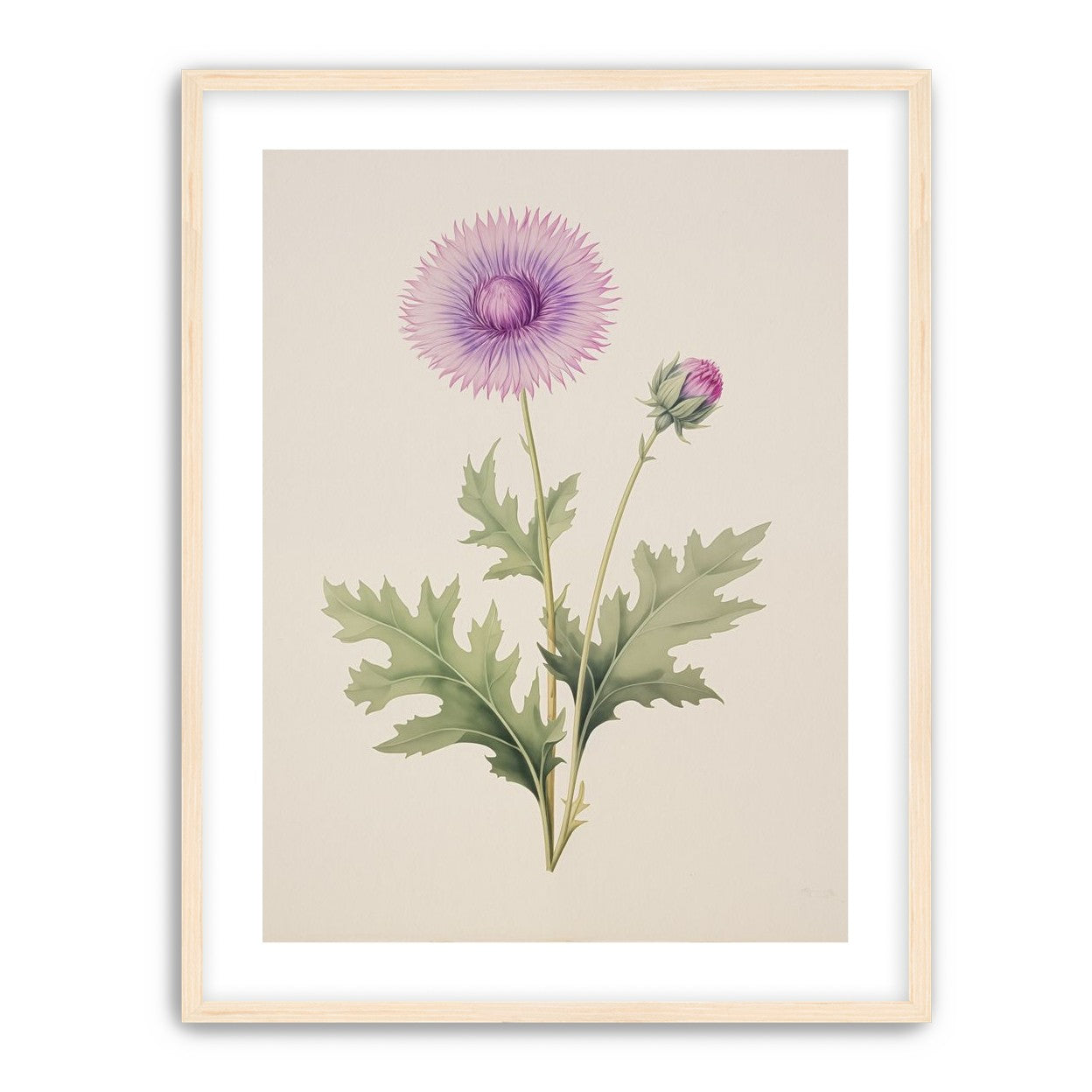Lavender Radiance