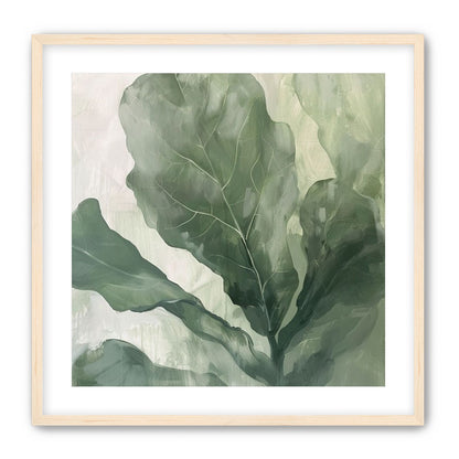 Sage leaves in pale light