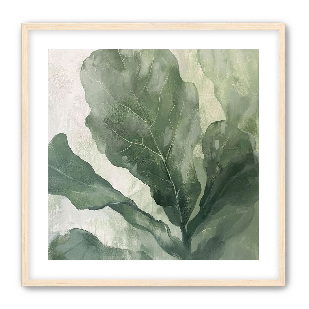 Sage leaves in pale light