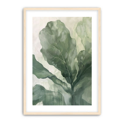 Sage leaves in pale light