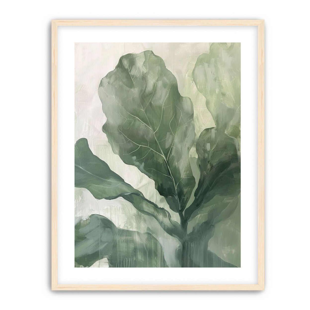 Sage leaves in pale light