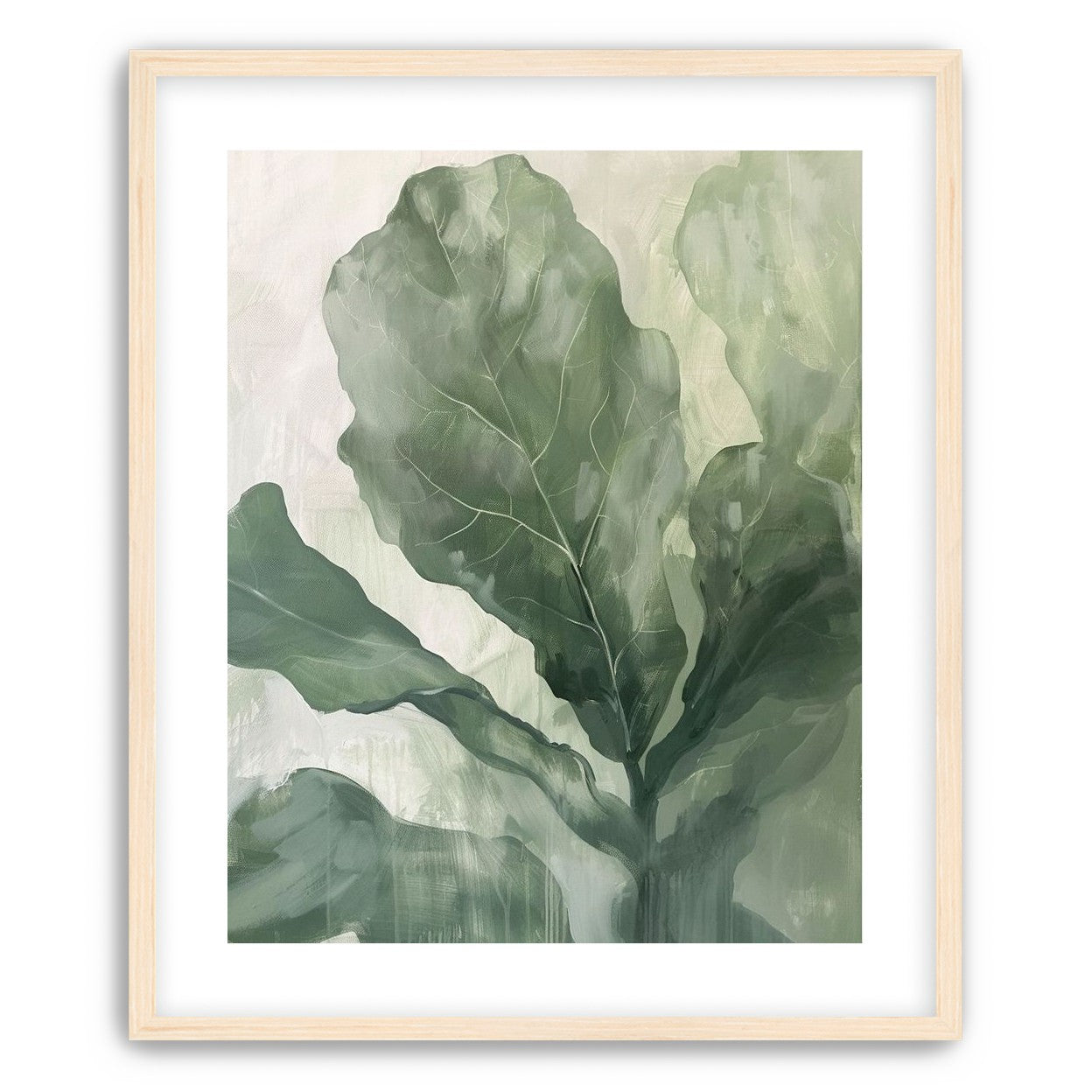 Sage leaves in pale light
