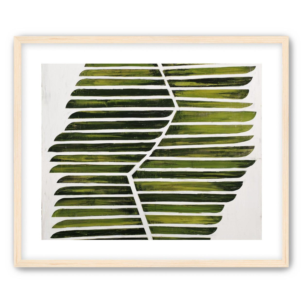 Leaf ribs around a white vein