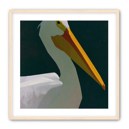 White pelican in deep green