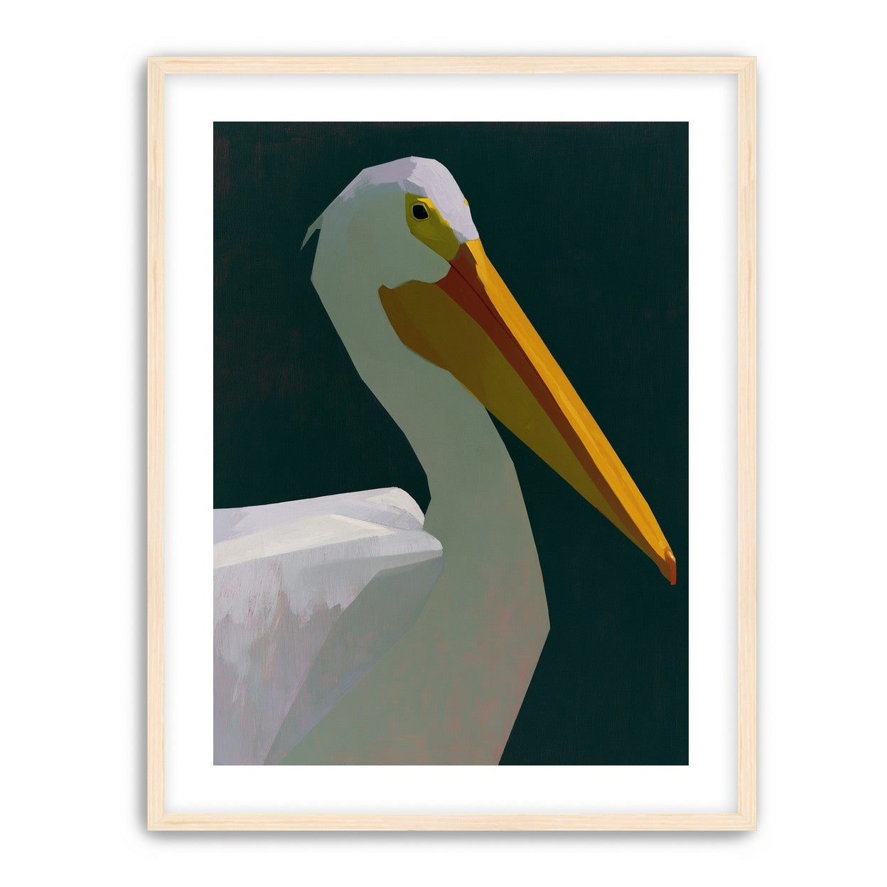 White pelican in deep green