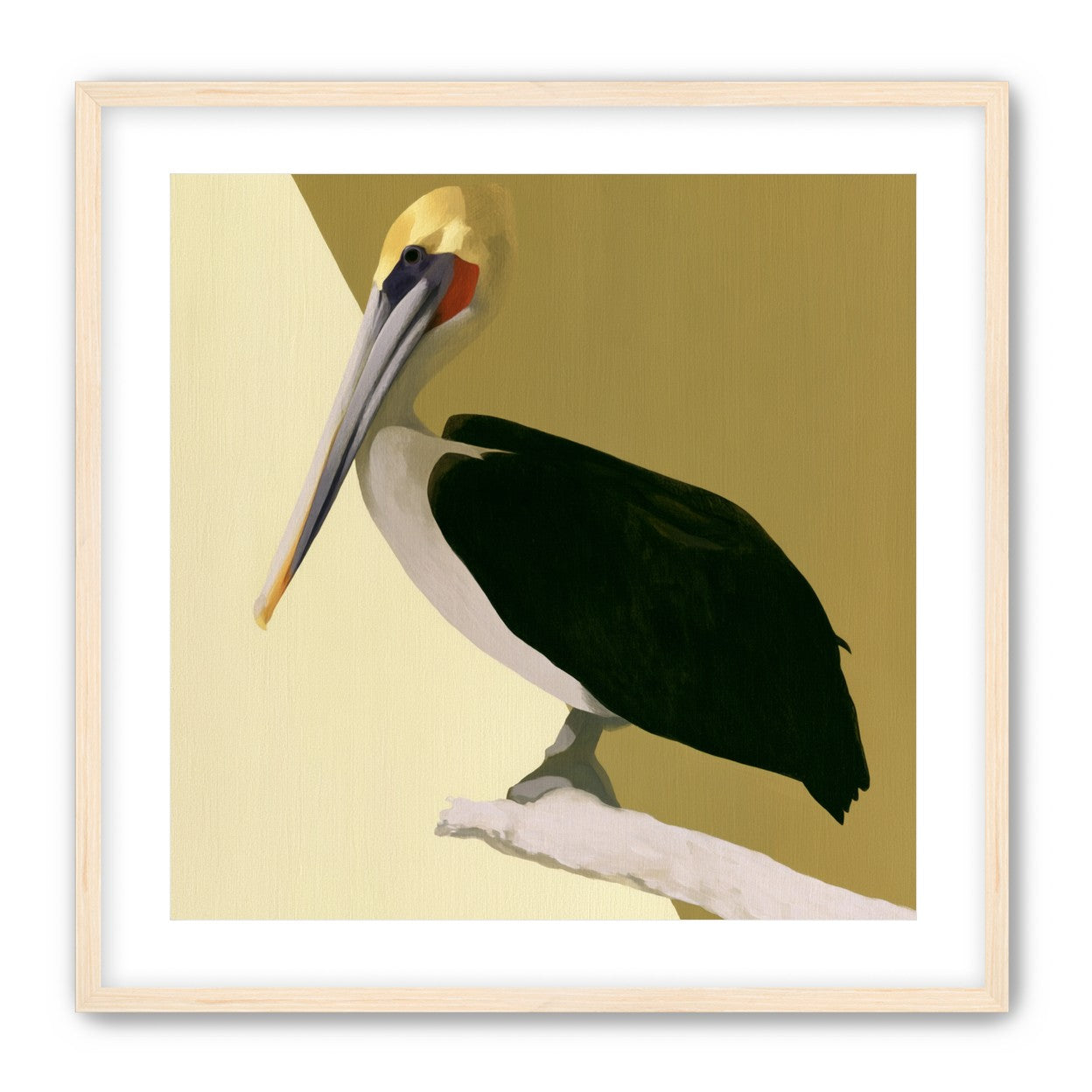 Pelican in quiet balance