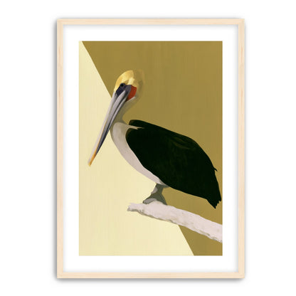 Pelican in quiet balance